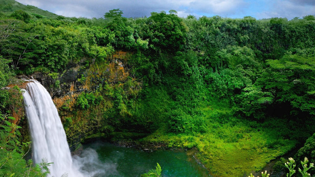 Waterfall green forest river mountain free wallpaper - medium preview image