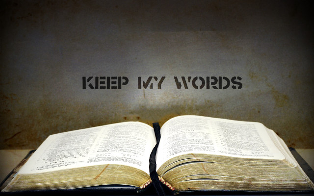 Book light keep my words free wallpaper - medium preview image