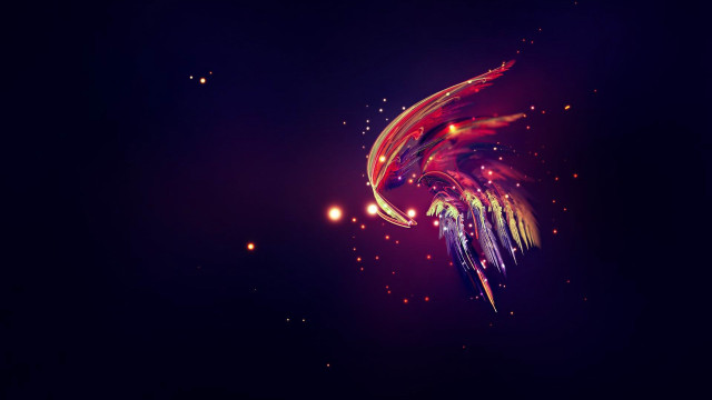 Colorful bird flying dark background free wallpaper - medium preview image