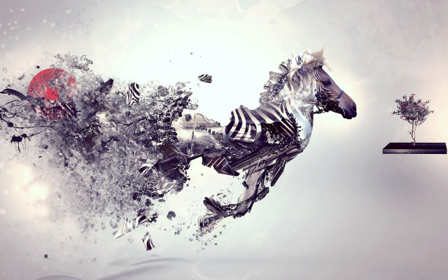Zebra jumping tree television foreground #2 free wallpaper - medium preview image