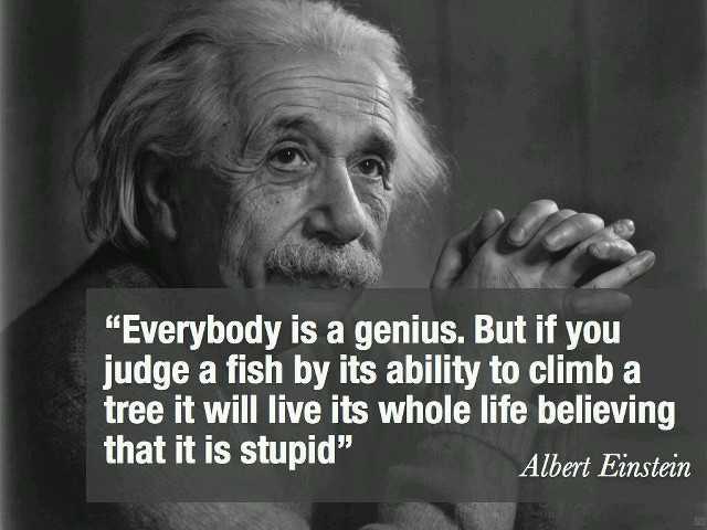 Albert einstein quote genius tree free wallpaper - medium preview image