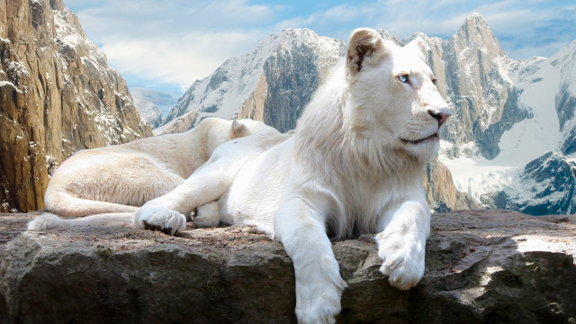 White lion rock mountain range #2 free wallpaper - medium preview image