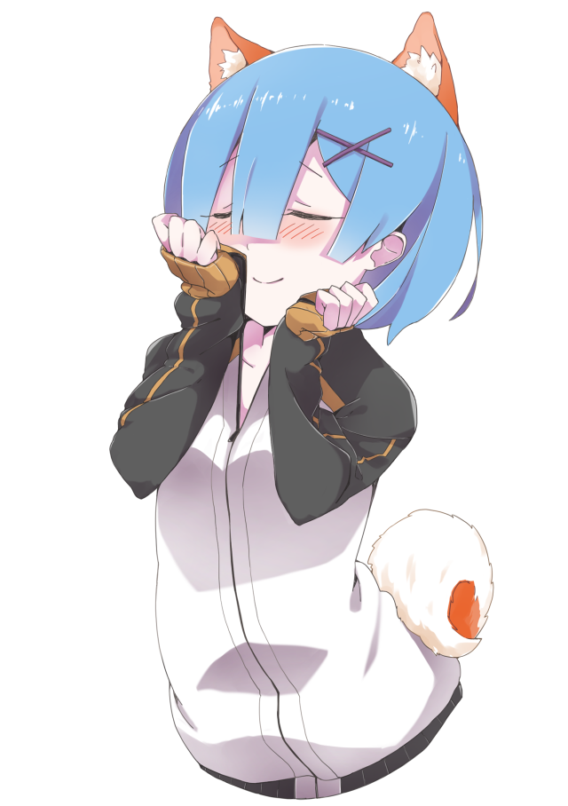 Blue hair cat ears cat free wallpaper - medium preview image