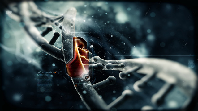 Human hand touch futuristic bokeh free wallpaper - medium preview image