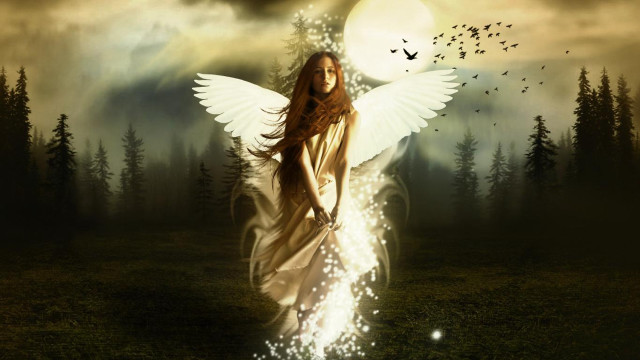 Woman wings field trees birds free wallpaper - medium preview image