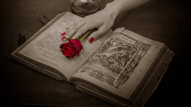 Person holding rose book open free wallpaper - medium preview image