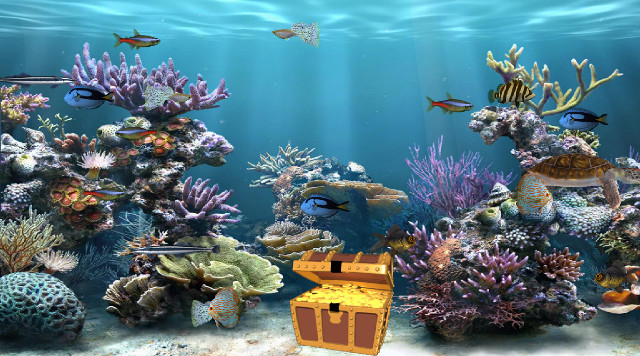 Underwater edenbox aquarium fish corals free wallpaper - medium preview image