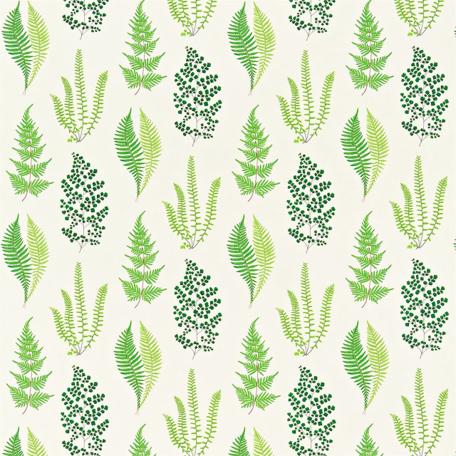 Green white wallpaper leaves berries #2 free wallpaper - medium preview image