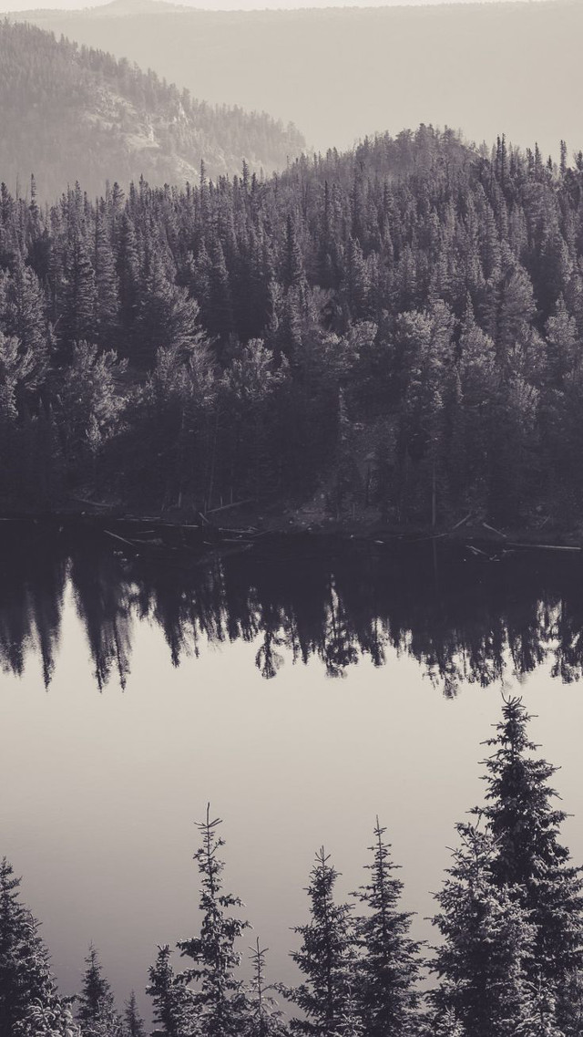 Lake trees mountains foggy sky free wallpaper - medium preview image