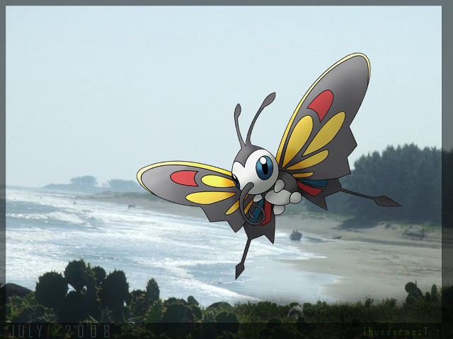 Cartoon butterfly beach ocean sky free wallpaper - medium preview image