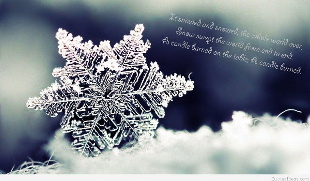 Snowflake quote beautiful winter nature free wallpaper - medium preview image
