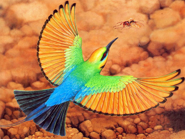Bird bug background fly air free wallpaper - medium preview image