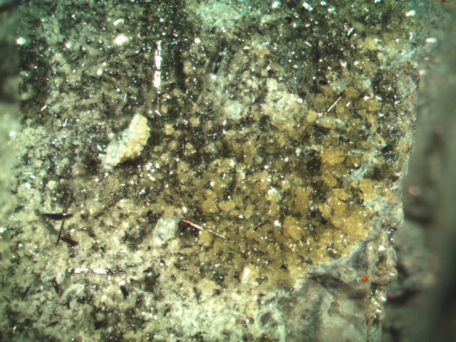 Close up rock dirt grass free wallpaper - medium preview image