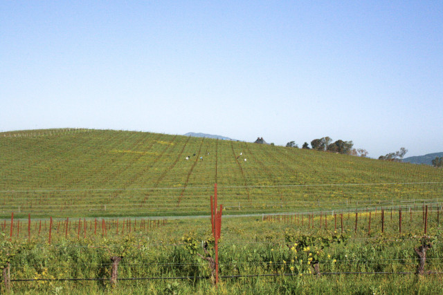Large field fence hill trees free wallpaper - medium preview image