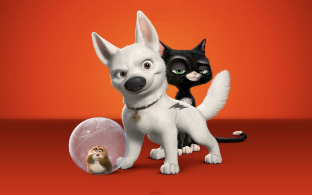 Cat dog red background ball free wallpaper - medium preview image