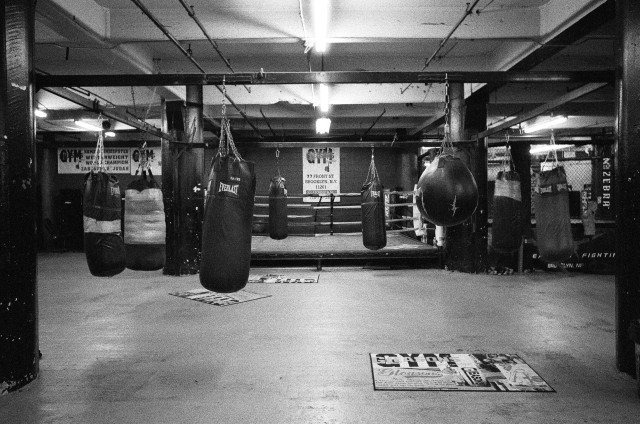 Boxing ring gloves ceiling rug free wallpaper - medium preview image