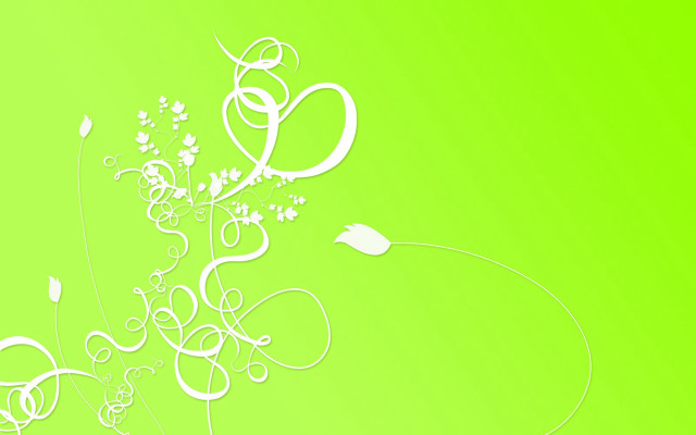 Green background white flower white free wallpaper - medium preview image