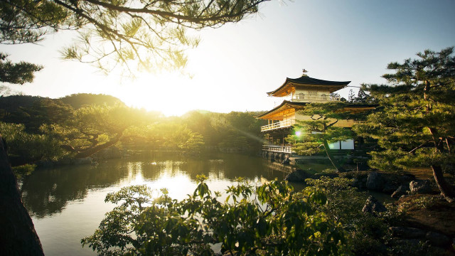 Pagoda lake forest sunlight trees free wallpaper - medium preview image