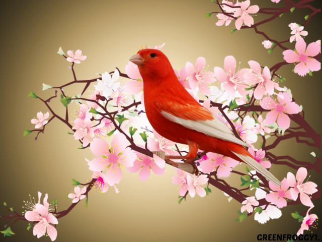 Red bird branch pink flowers free wallpaper - medium preview image