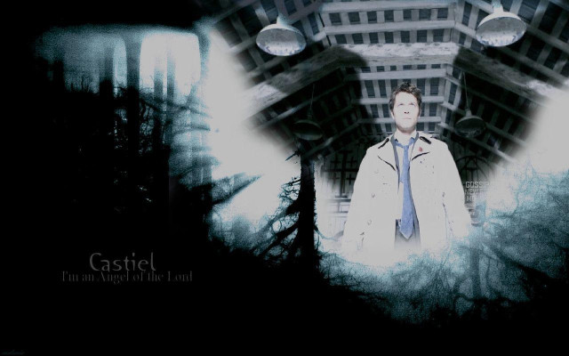 Man white coat blue tie free wallpaper - medium preview image