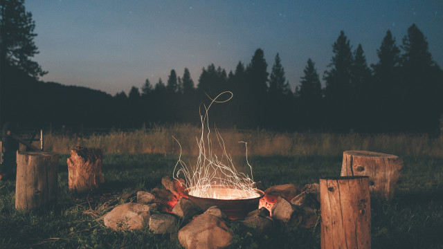 Fire pit wire logs trees free wallpaper - medium preview image