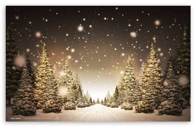Snowy scene trees snow falling #2 free wallpaper - medium preview image