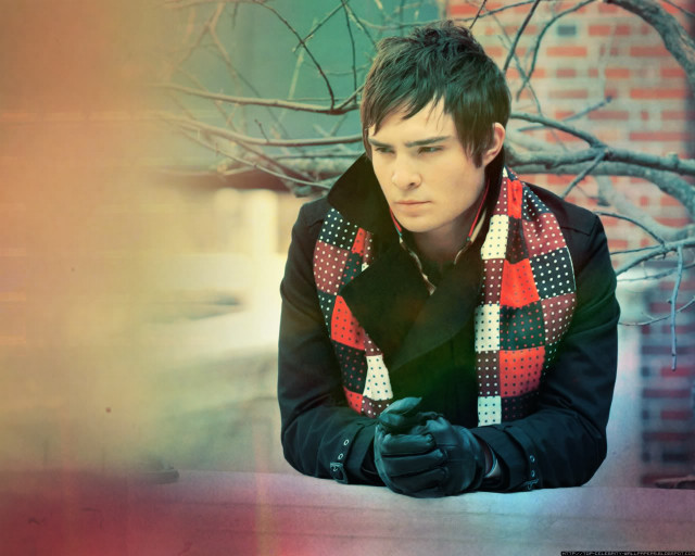 Man bench jacket gloves tree free wallpaper - medium preview image