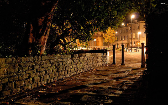Stone wall tree city night free wallpaper - medium preview image
