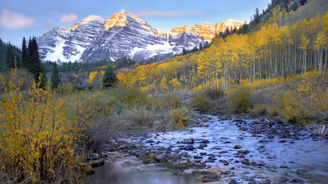 Stream forest trees rocks snow free wallpaper - medium preview image
