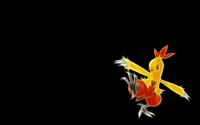 Bird red tail flying black free wallpaper - medium preview image