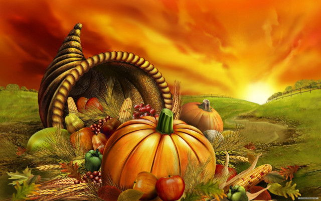 Turkey pumpkin autumn field cornucopia #2 free wallpaper - medium preview image