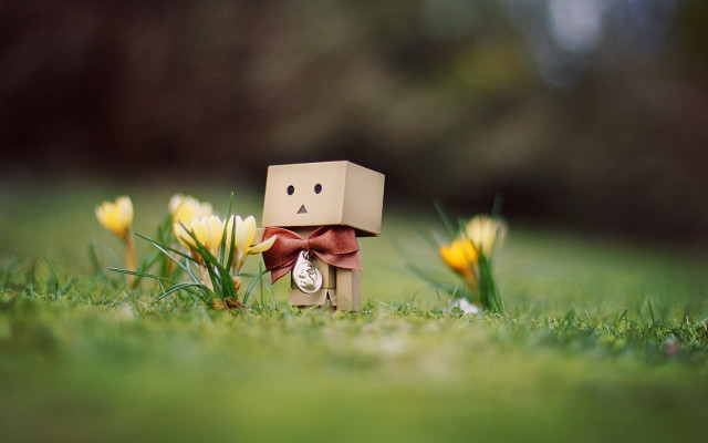Cardboard toy bow grass flowers #2 free wallpaper - medium preview image