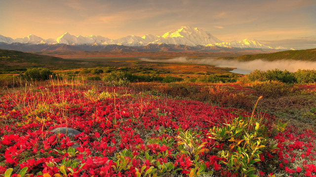 Red flowers mountains clouds autumn free wallpaper - medium preview image