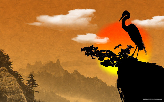 Bird perched rock sunset mountain free wallpaper - medium preview image