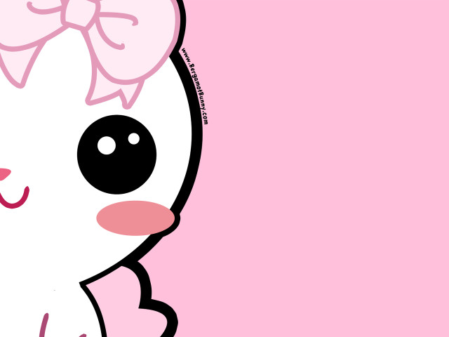 Cute kitty pink bow background free wallpaper - medium preview image