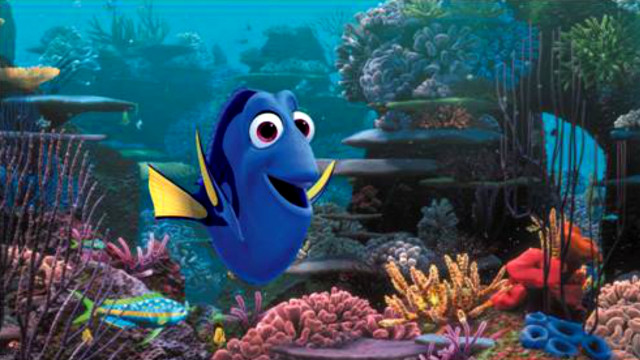 Blue fish yellow stripe coral free wallpaper - medium preview image