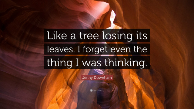 Canyon quote background image free wallpaper - medium preview image