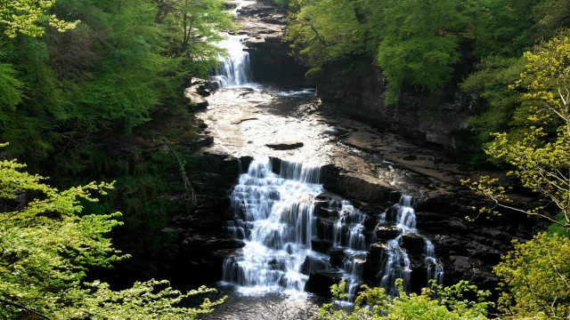 Waterfall forest trees river bridge free wallpaper - medium preview image