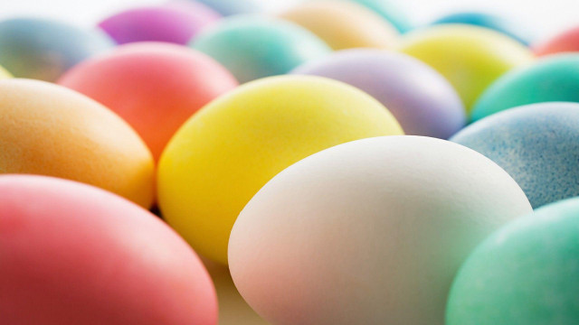 Colorful eggs row white background free wallpaper - medium preview image
