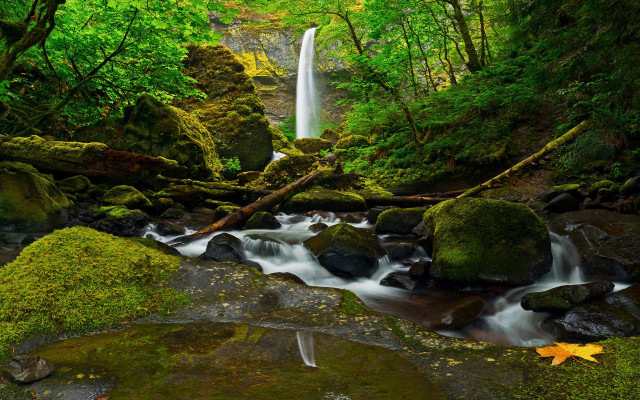Waterfall forest mossy rocks trees #2 free wallpaper - medium preview image