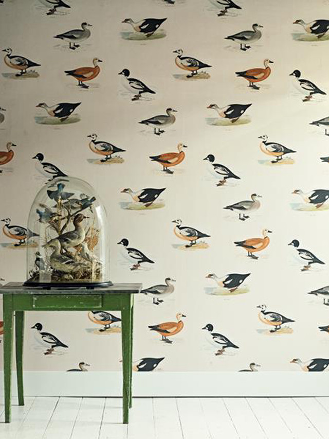 Wall clock birds wallpaper green free wallpaper - medium preview image