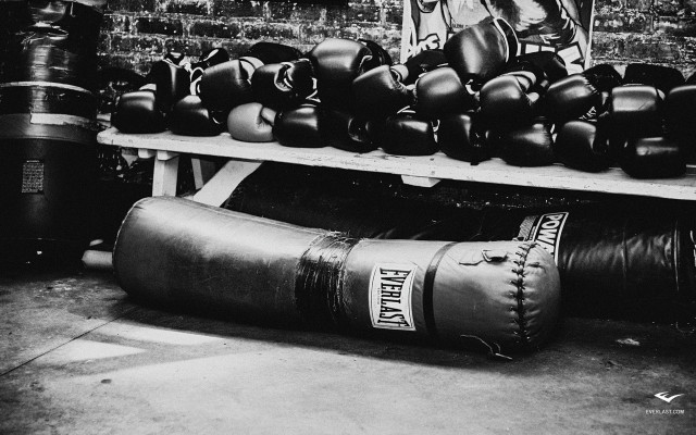 Boxing gloves shelf brick wall free wallpaper - medium preview image