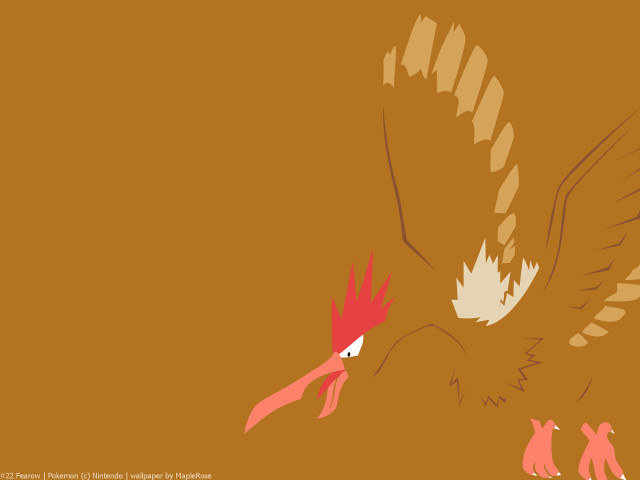 Bird red beak white tail free wallpaper - medium preview image