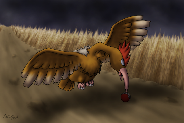 Bird worm wheat field feathered free wallpaper - medium preview image