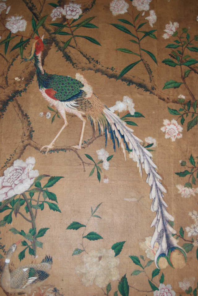 Peacock branch tree flowers leaves free wallpaper - medium preview image