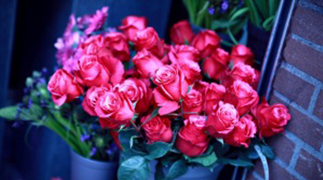 Red roses blue vase brick free wallpaper - medium preview image