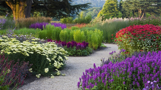 Garden path flowers trees mountain free wallpaper - medium preview image