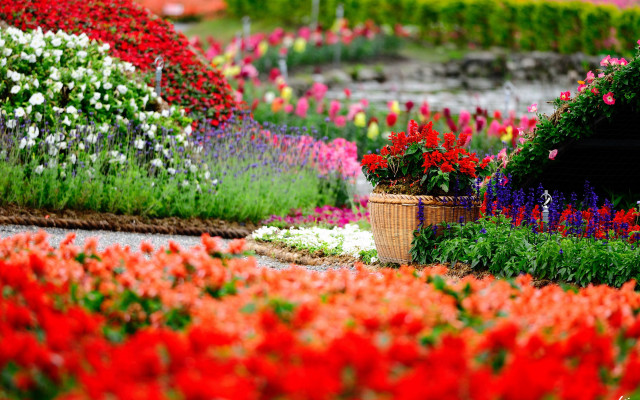 Colorful garden sidewalk building clock free wallpaper - medium preview image