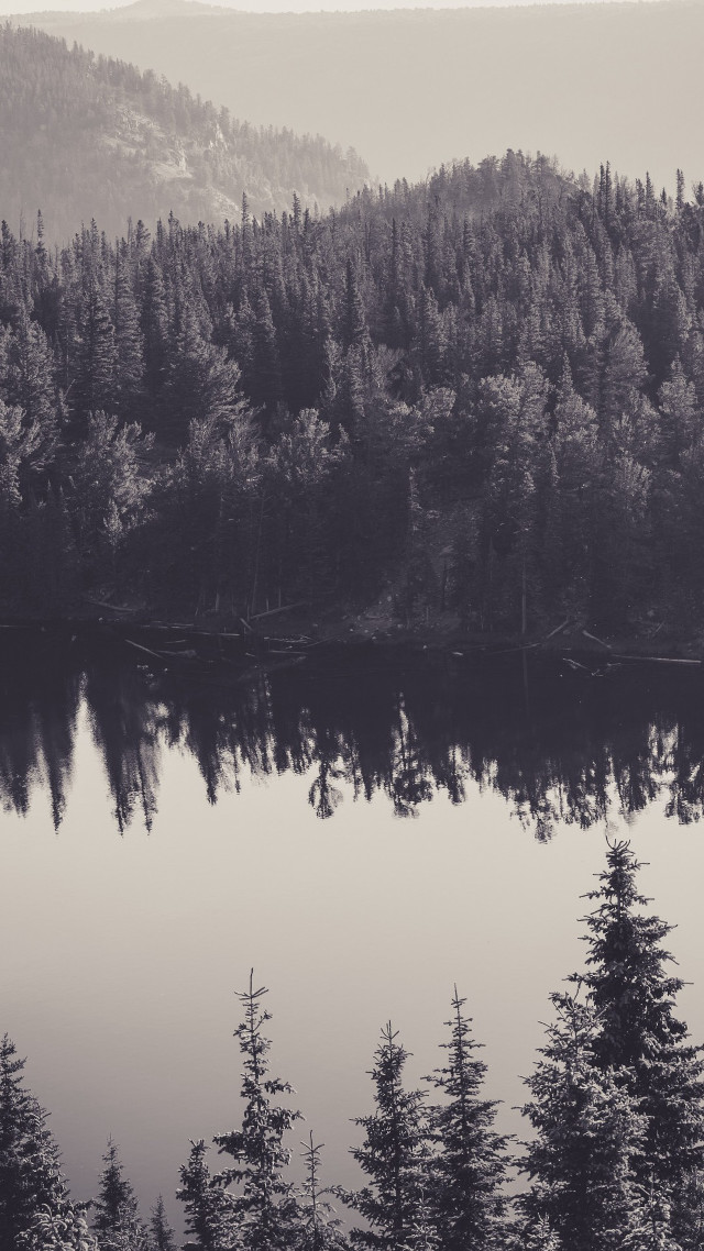 Lake trees mountains foggy sky #2 free wallpaper - medium preview image