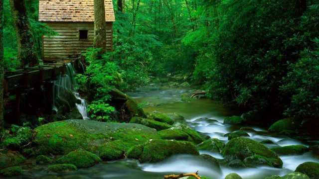 Small cabin woods stream nature free wallpaper - medium preview image